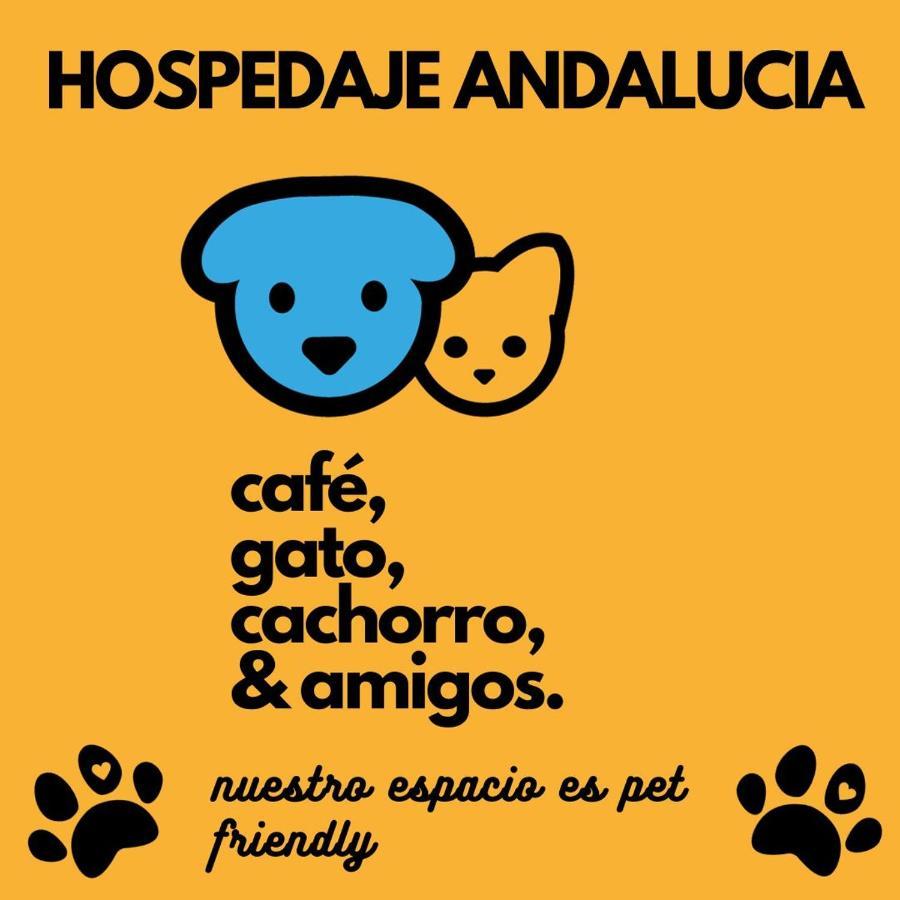 نزل Florianópolisفي Casa Andalucia المظهر الخارجي الصورة